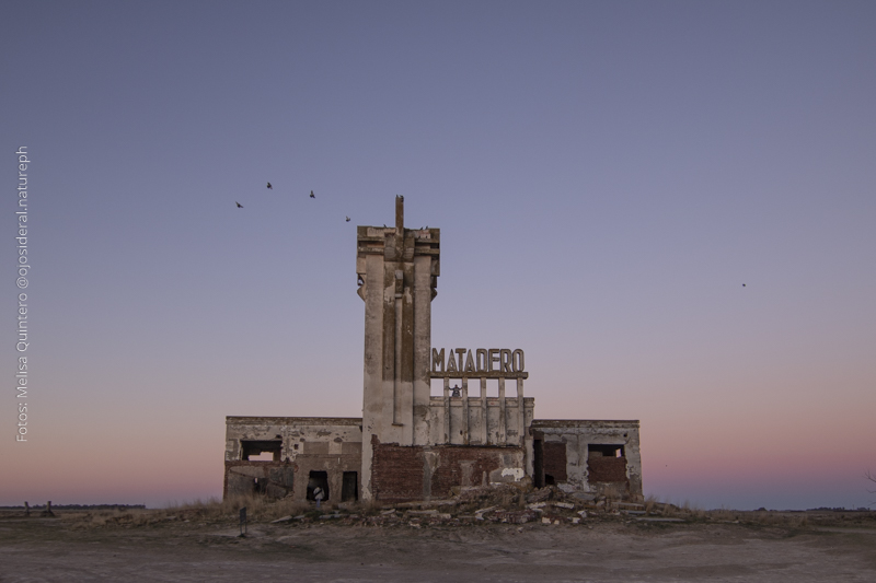 Matedero (mattatoio) di Epecuen, provincia di Buenos Aires.