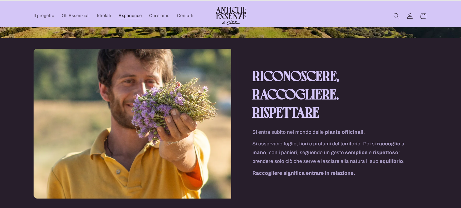 Mattianigro anticheessenzedicalabria rosetocapospulico